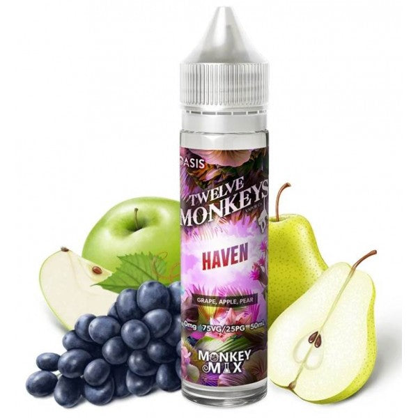 Twelve Monkeys - Haven (Shortfill)